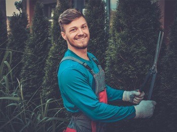 Installer une haie : quelles variétés d’arbustes ?
