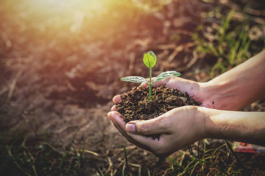 Comment tirer parti de la RE2020 pour sa maison ?