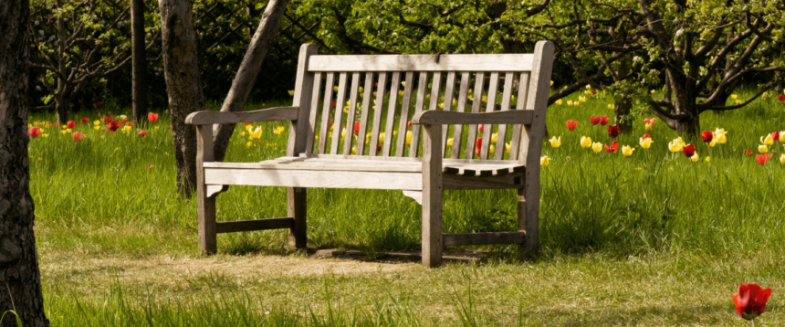 aménager le jardin de sa maison neuve avec un banc en bois