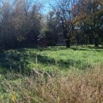 Terrain à bâtir à Saint-André-de-Cubzac (33240)