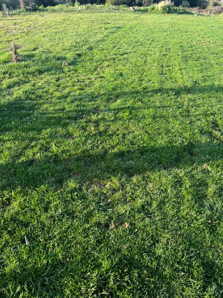 Terrain à bâtir à Portets (33640)