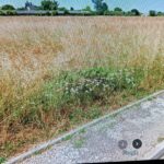 Terrain à bâtir à La Lande-de-Fronsac (33240)