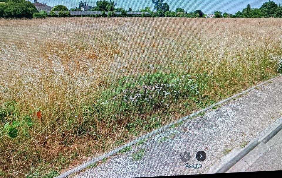 Terrain à bâtir à La Lande-de-Fronsac (33240)