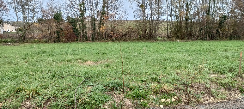 Terrain à bâtir à Bourg (33710)