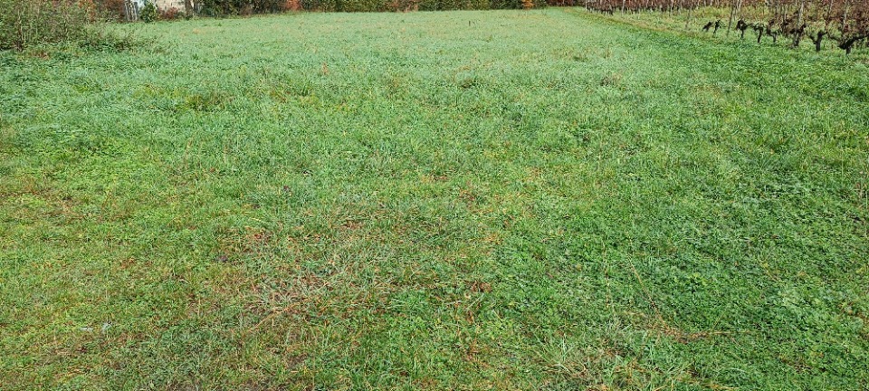 Terrain à bâtir à Lugon-et-l’Île-du-Carnay (33240)