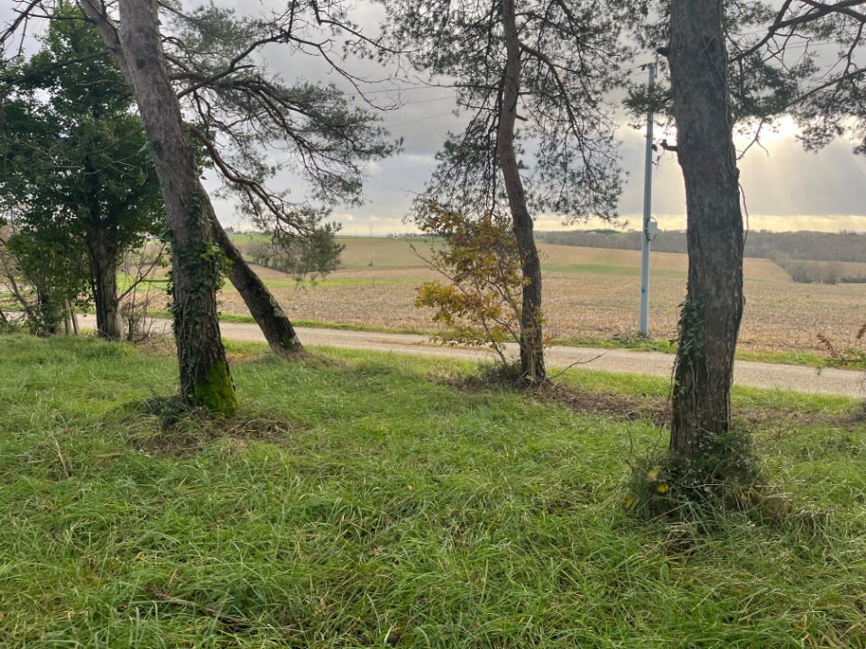 Terrain à bâtir à Escassefort (47350)