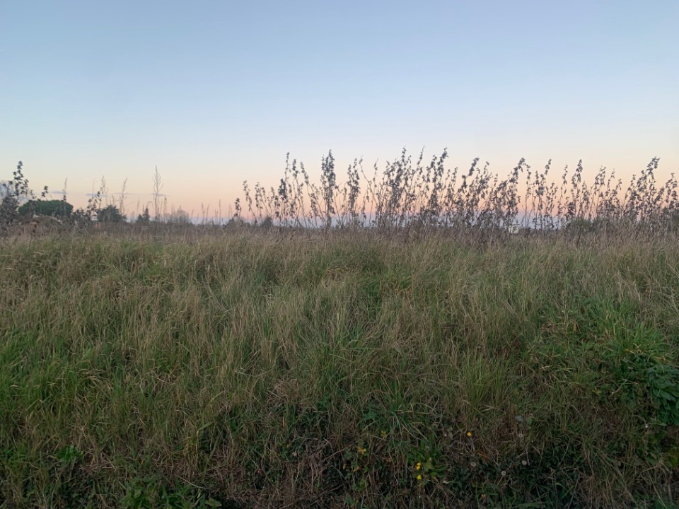 Terrain à bâtir à Saint-Sernin (47120)
