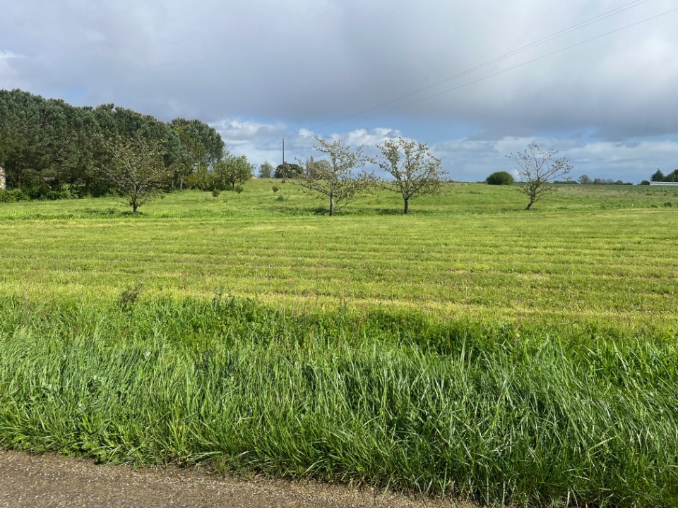 Terrain à bâtir à Caumont-sur-Garonne (47430)