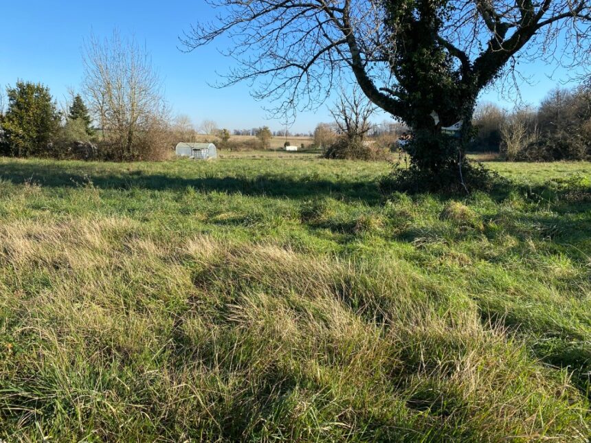 Terrain à bâtir à Saint-Georges-des-Coteaux (17810)