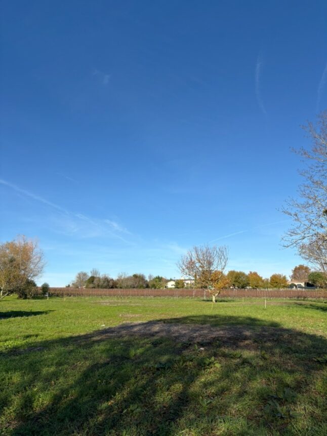Terrain à bâtir à Carignan-de-Bordeaux (33360)