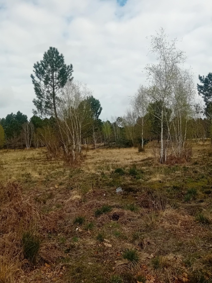 Terrain à bâtir à Salles (33770)