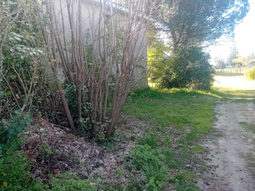 Terrain à bâtir à Arcachon (33120)