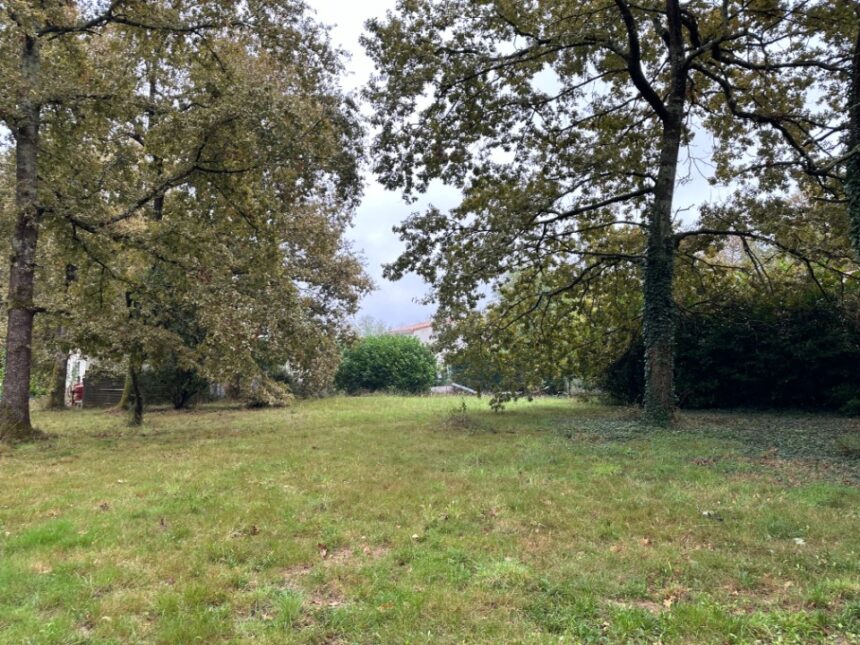 Terrain à bâtir à Lacanau (33680)
