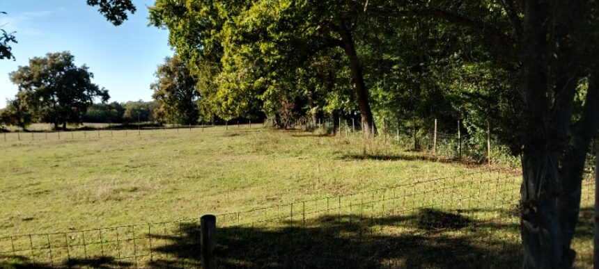 Terrain à bâtir à Génissac (33420)