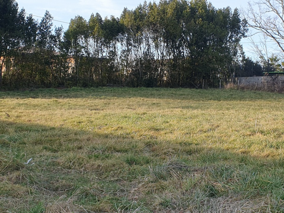 Terrain à bâtir à Salignac (33240)