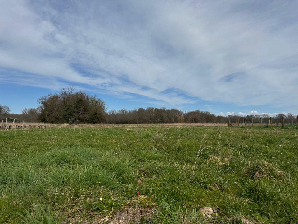 Terrain à bâtir à Civrac-en-Médoc (33340)
