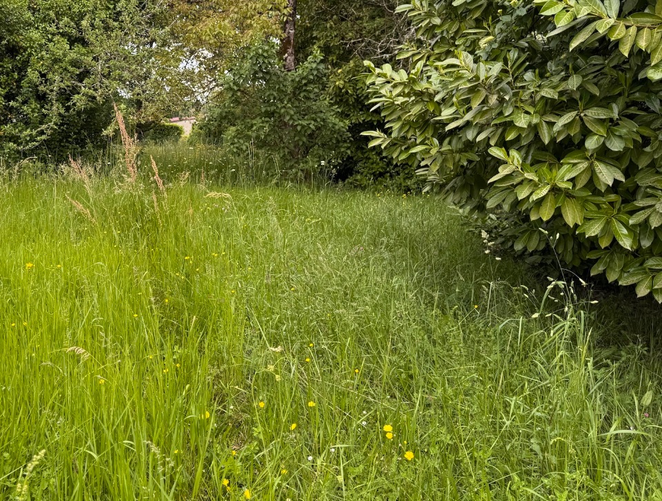 Terrain à bâtir à Cadaujac (33140)