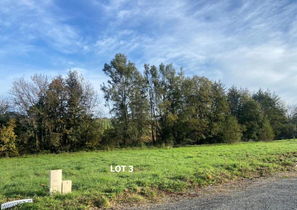 Terrain à bâtir à Bourg (33710)