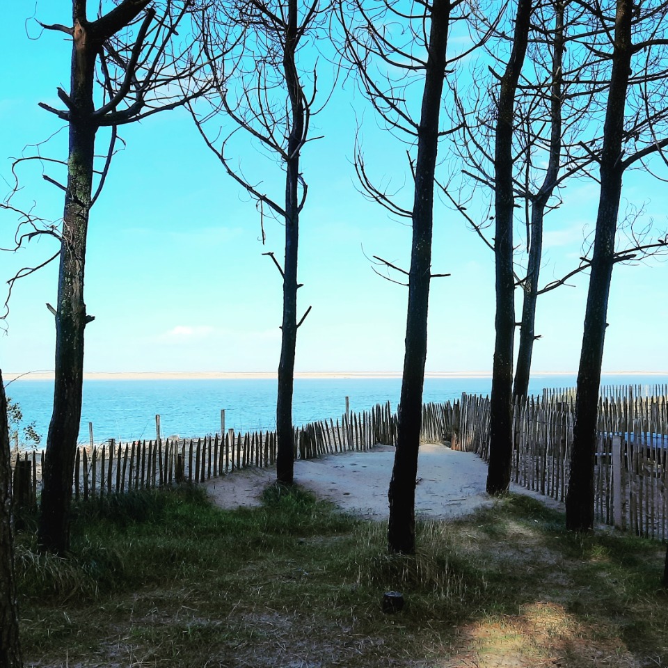 Terrain à bâtir à Pyla-sur-Mer (33115)