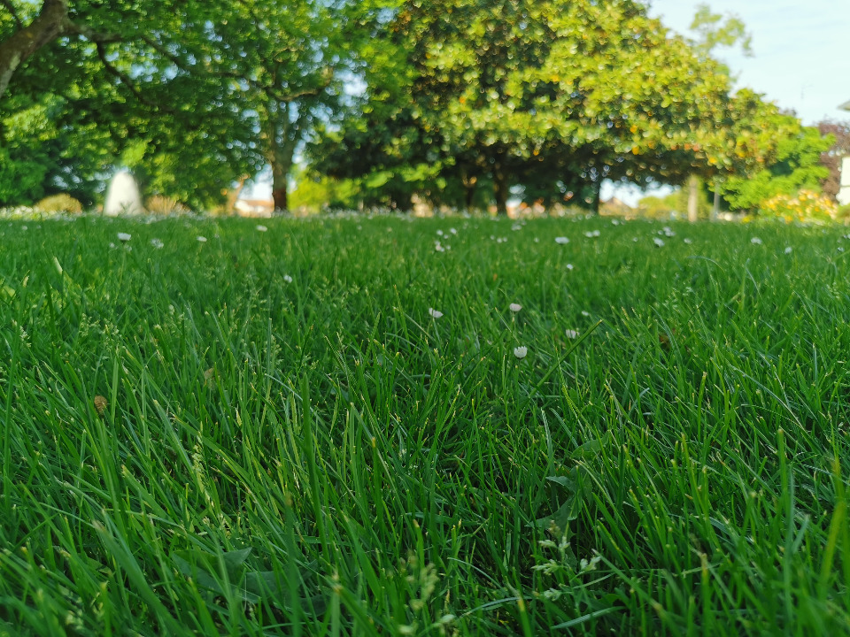 Terrain à bâtir à Le Porge (33680)