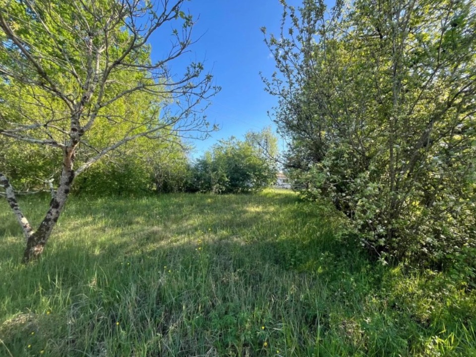 Terrain à bâtir à Léognan (33850)