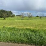 Terrain à bâtir à Caumont-sur-Garonne (47430)