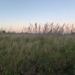 Terrain à bâtir à Virazeil (47200)