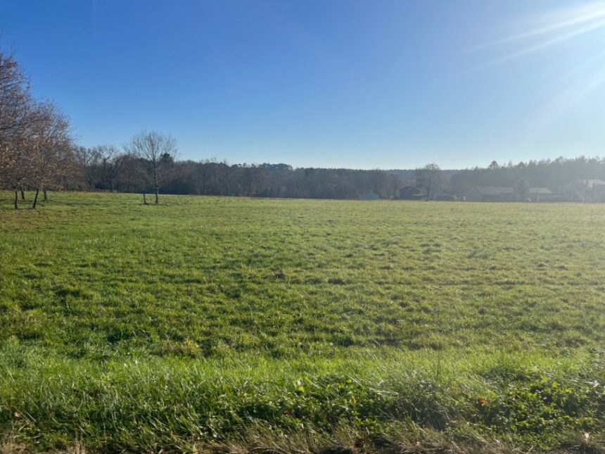 Terrain à bâtir à Casteljaloux (47700)