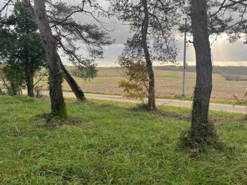 Terrain à bâtir à Escassefort (47350)