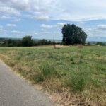 Terrain à bâtir à Duras (47120)