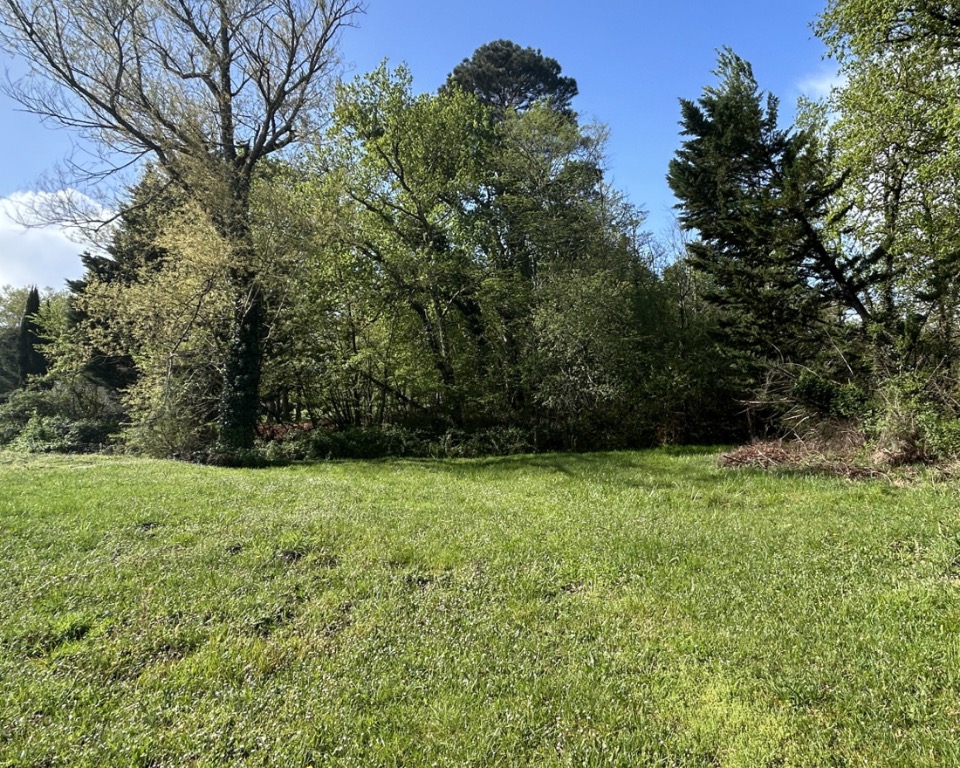 Terrain à bâtir à La Brède (33650)