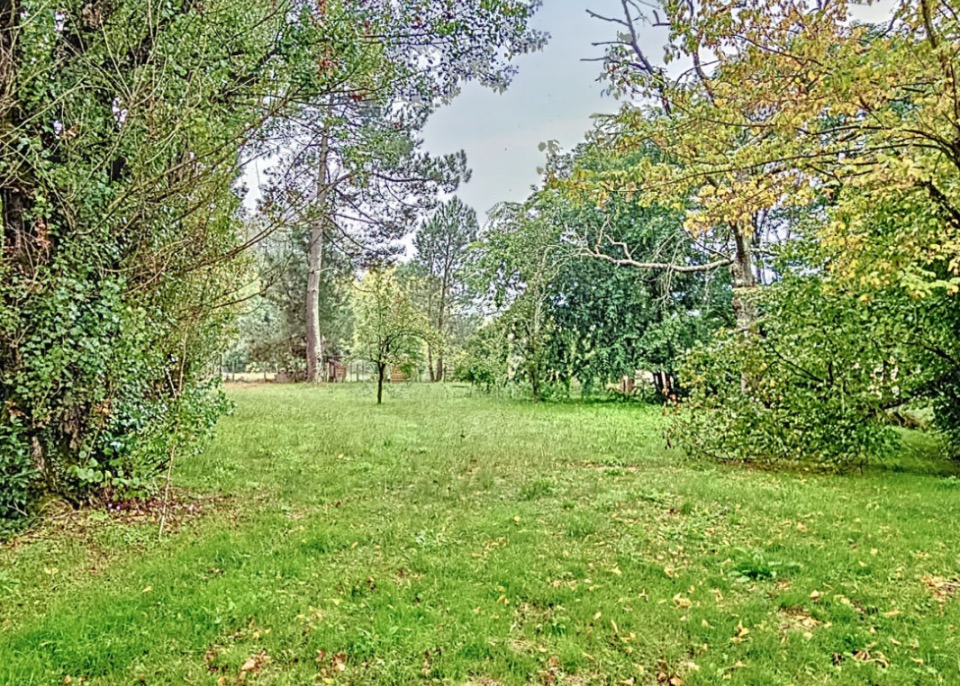 Terrain à bâtir à Léognan (33850)