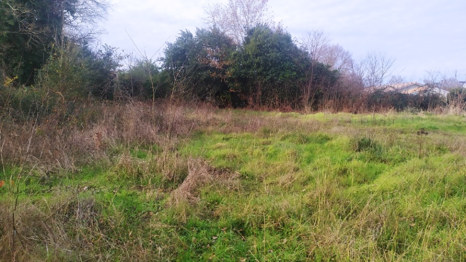 Terrain à bâtir à Roaillan (33210)