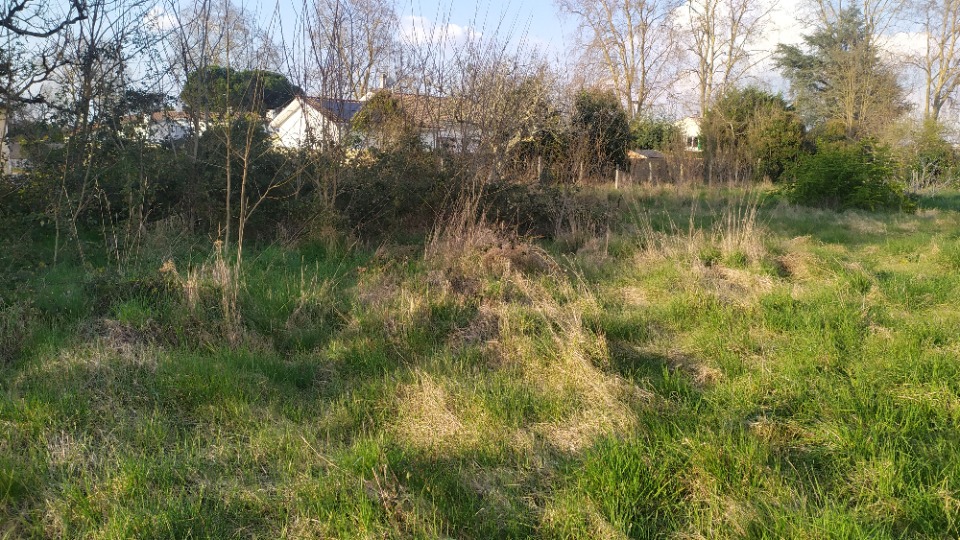 Terrain à bâtir à Podensac (33720)