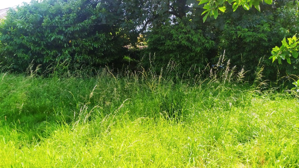Terrain à bâtir à Saint-Pierre-d’Aurillac (33490)