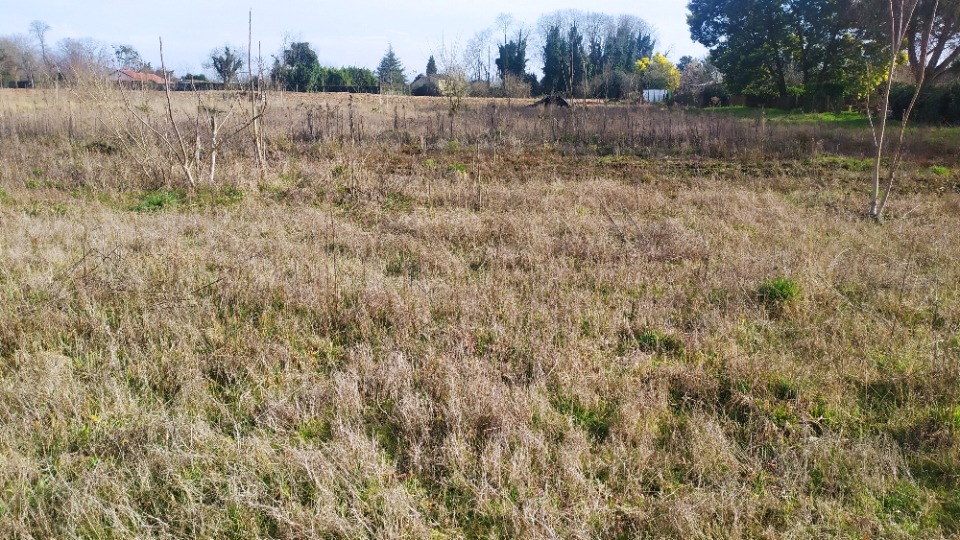 Terrain à bâtir à Preignac (33210)