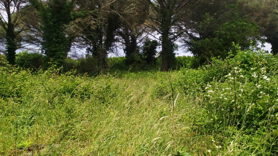 Terrain à bâtir à Saint-Maixant (33490)
