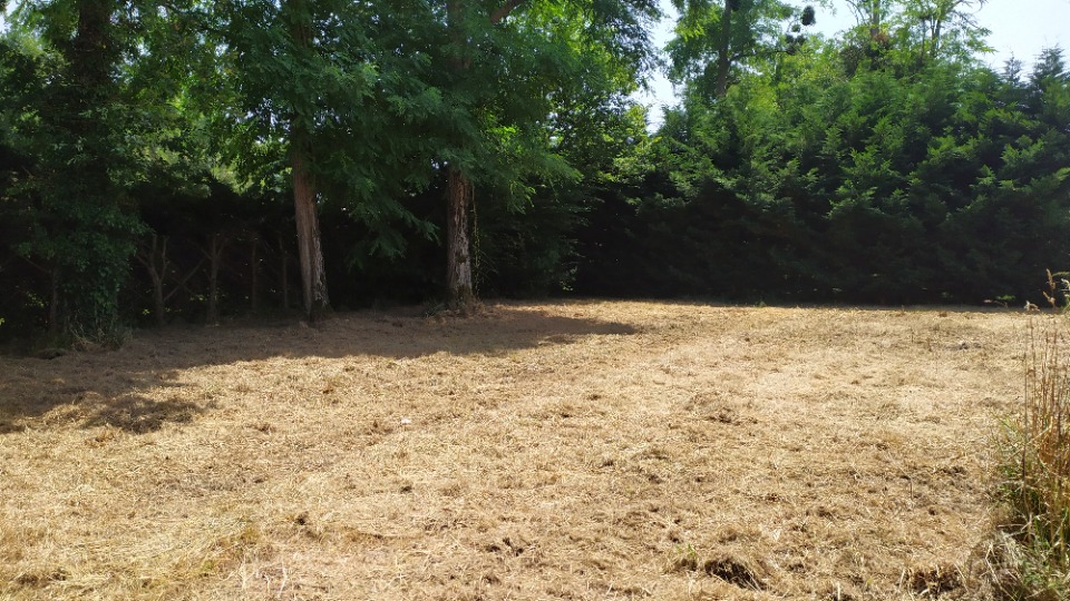 Terrain à bâtir à Langon (33210)