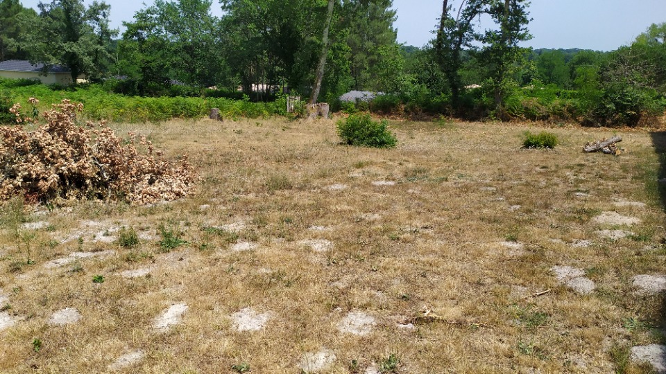 Terrain à bâtir à Roaillan (33210)