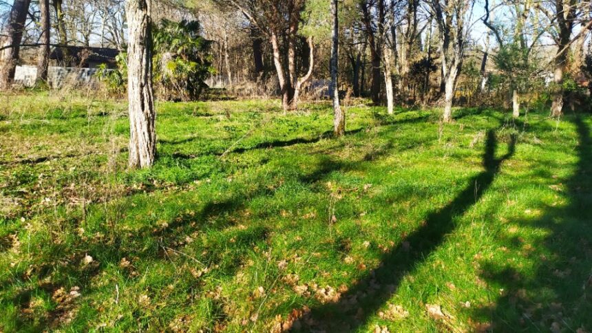 Terrain à bâtir à Langon (33210)