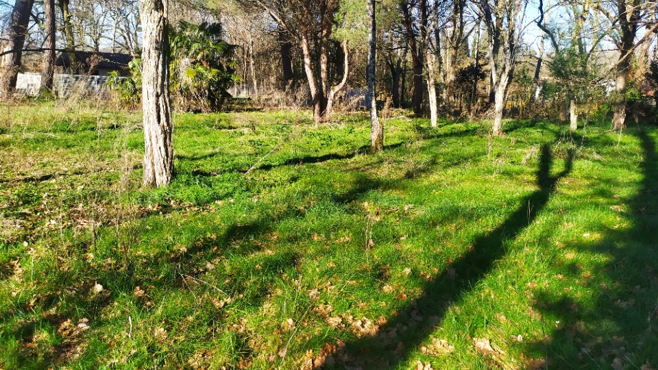 Terrain à bâtir à Langon (33210)