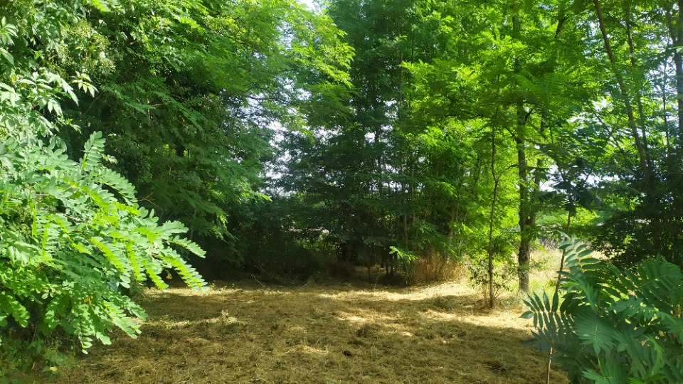 Terrain à bâtir à Langon (33210)