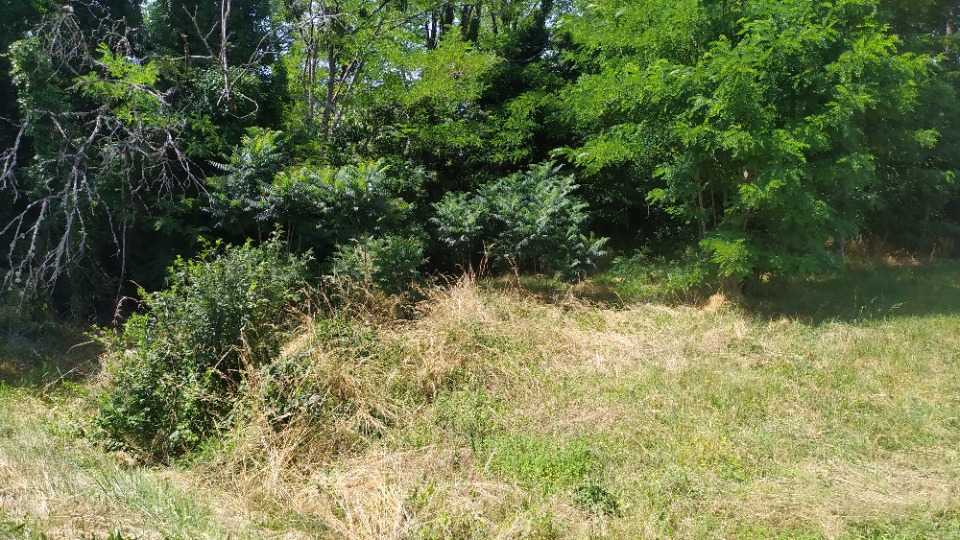 Terrain à bâtir à Langon (33210)