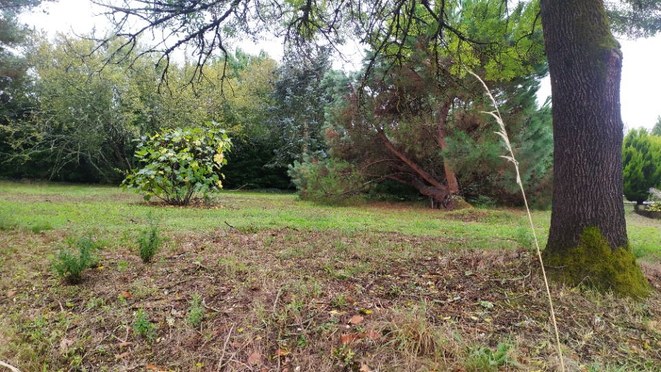Terrain à bâtir à La Brède (33650)