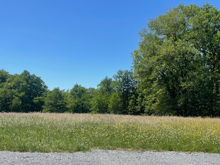 Terrain à bâtir à Boulazac (24750)