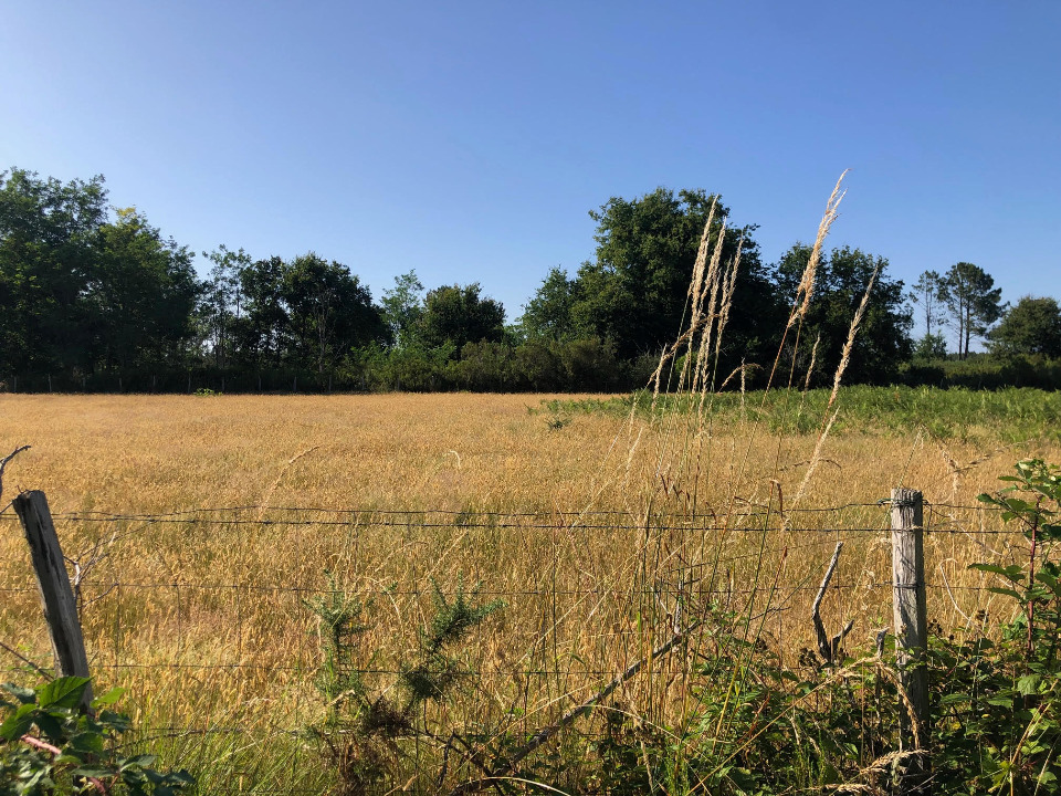 Terrain à bâtir à Saint-Jean-d’Illac (33127)