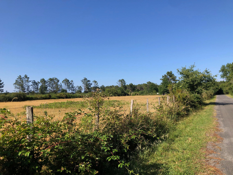 Terrain à bâtir à Lanton (33138)