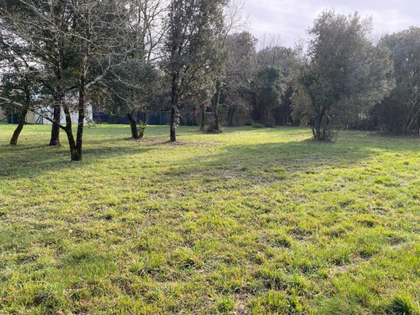 Terrain à bâtir à Saint-Vaize (17100)