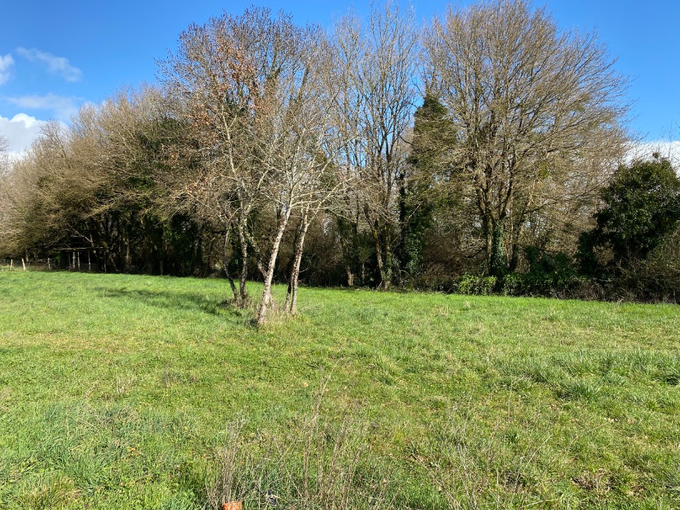 Terrain à bâtir à Saint-Vaize (17100)