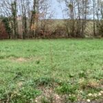 Terrain à bâtir à Bourg (33710)